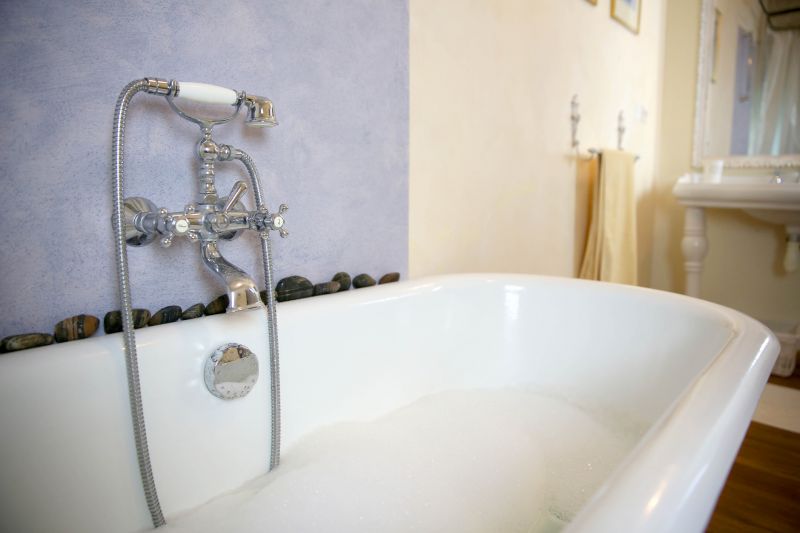 Accessible Bathing detail